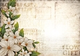 Sophia Floral Spray Paper Cream