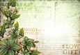 Sophia Floral Spray Paper Green