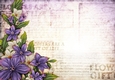 Sophia Floral Spray Paper Lilac