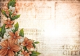 Sophia Floral Spray Paper Peach
