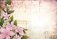 Sophia Floral Spray Paper Light Pink