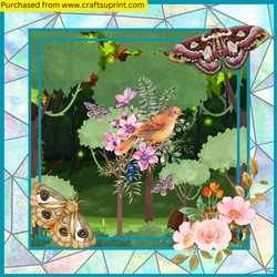 Forest Birthday Card Mini Kit