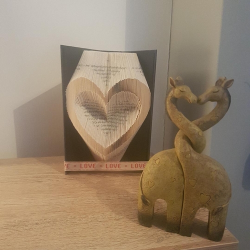 Inverted heart 432 pages