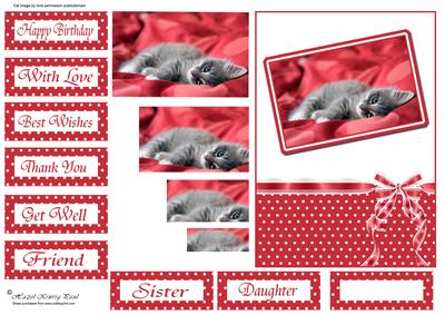 Cute Cat Pyramid Card