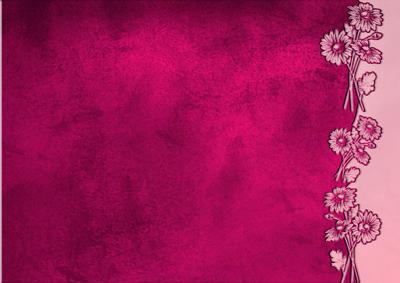 Velvet Flower Border Background (rich Rose)