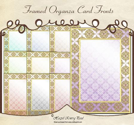 Framed Organza Card Fronts