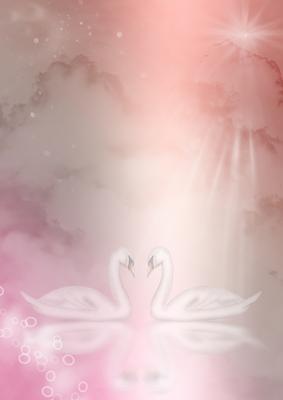 Fantasy Swans Background (rose)