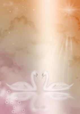 Fantasy Swans Background (apricot)