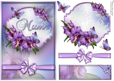 Orchids for Mum
