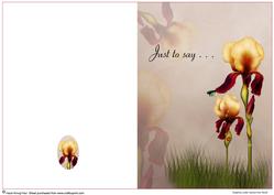 Beautiful Flower Quick Card #5