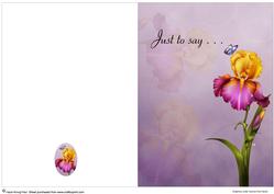 Beautiful Flower Quick Card #6