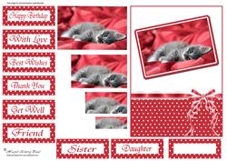 Cute Cat Pyramid Card