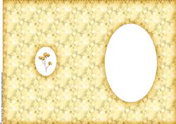 Soft Floral Insert #4