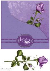 Violet Rose Love/anniversary Card