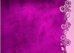 Velvet Flower Border Background (purple)