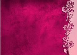 Velvet Flower Border Background (rich Rose)