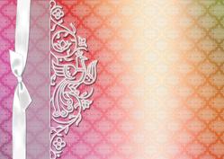 Rainbow Lace Background #2