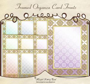 Framed Organza Card Fronts