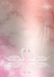 Fantasy Swans Background (rose)
