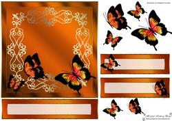 Autumnal Butterflies