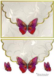 Butterfly Envelope Card