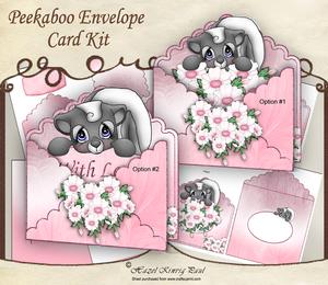 Peekaboo Envelope Card Kit