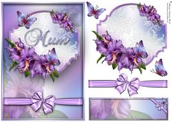 Orchids for Mum