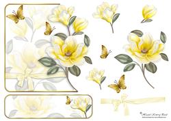 Magnolia Over the Edge
