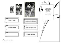 Diffuse Lily Card