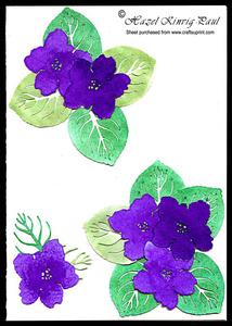 African Violet Flowers & Leaves
