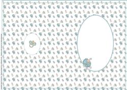 Baby Boy Card Insert