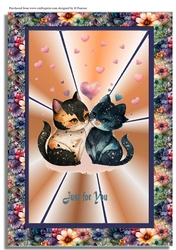 Cat Love