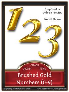Brushed Gold Numbers