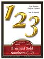 Brushed Gold Numbers