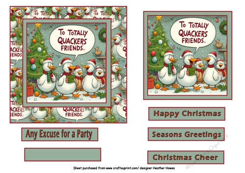 to totally quackers friends