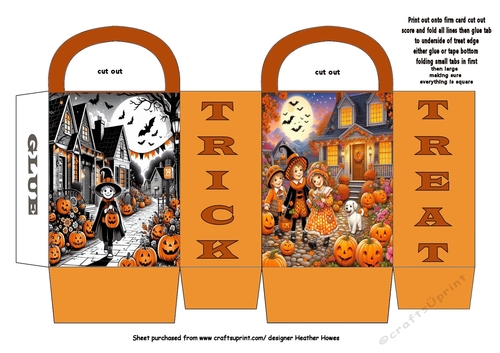 new treat bag/box for halloween 1
