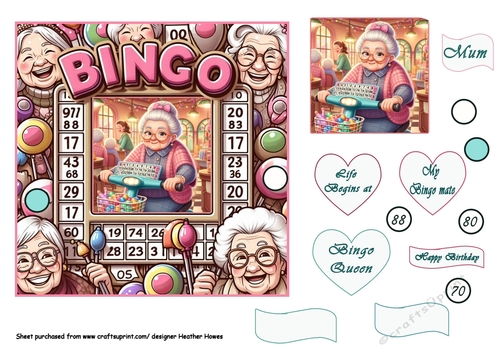  gotta love bingo queen  on her mobility scooter