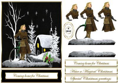 Coming Home for Christmas