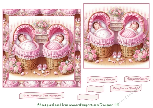 all in pink  baby girl twins