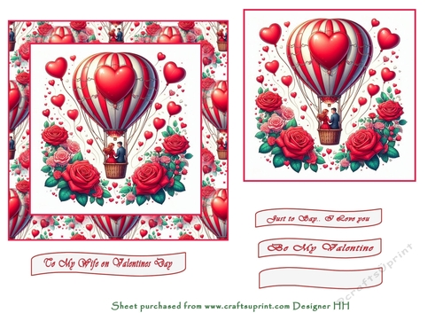 love is in the hot air Balloon