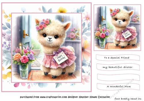 alpaca  birthday