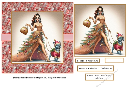 Christmas/birthday 