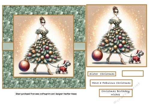 Christmas/birthday 2