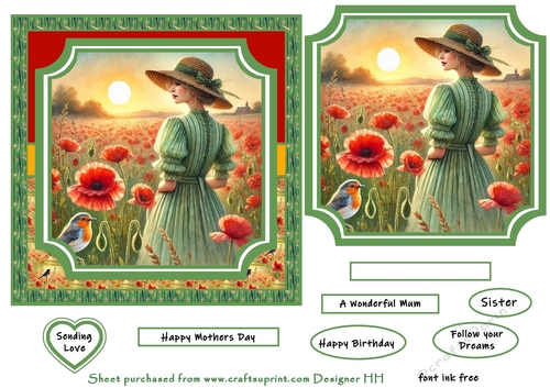 wild meadow poppy field 2