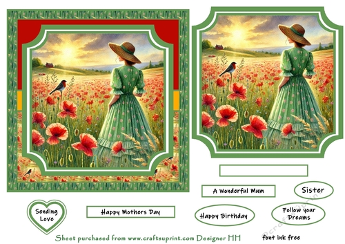 wild meadow poppy field 3