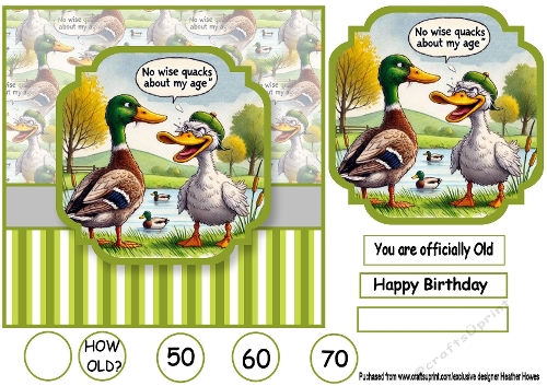 male duck no wise quacks