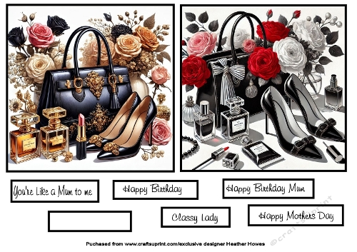 2 handbag and shoe toppers