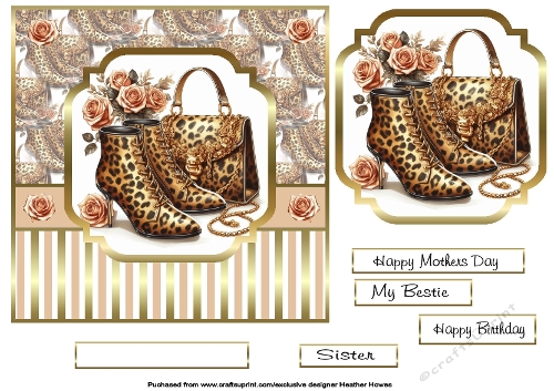 Leopard print glam boots and handbag with roses