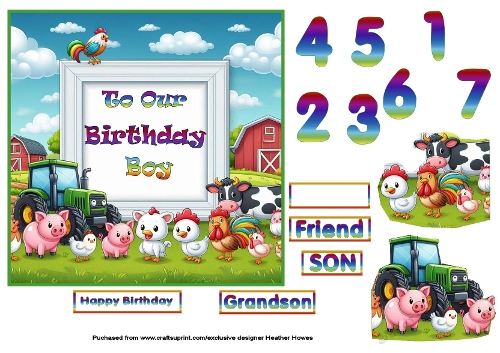 birthday boy on the farm