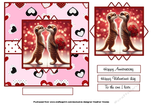 meerkats in love